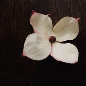 Meet your Posher, Jo